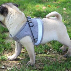 Dog Harness And Leash Set
