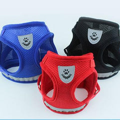 Dog Harness And Leash Set