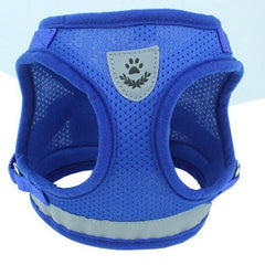 Dog Harness And Leash Set