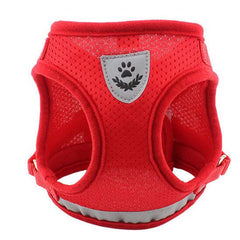 Dog Harness And Leash Set