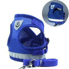 Dog Harness And Leash Set