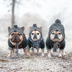Winter Fashion Dog Hat Windproof Fluffy Knitted Polar Pom Hat