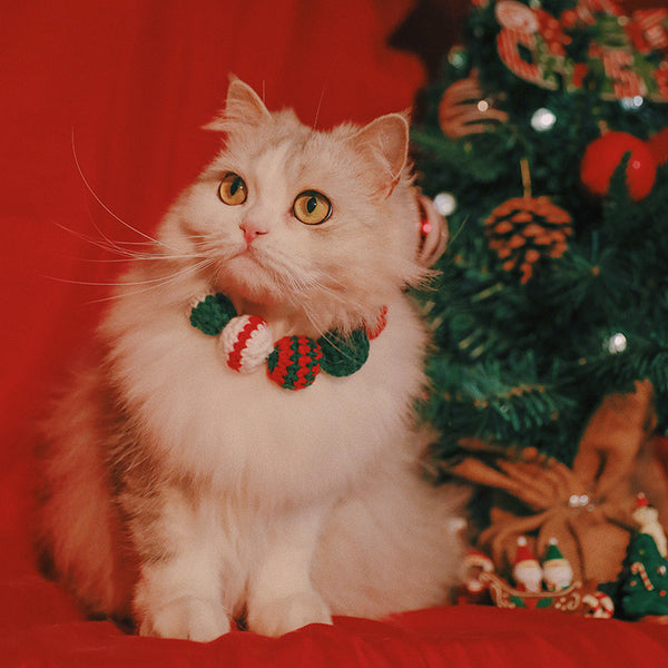 Pet Christmas Limited Ball Bib