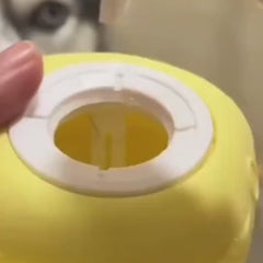 1.mp4